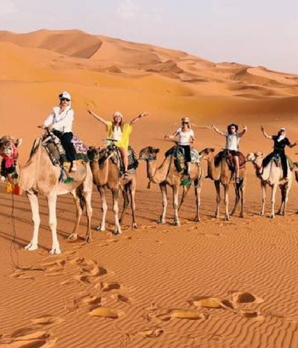 Semester at Sea Morocco Tour